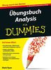 Übungsbuch Analysis (Fur Dummies)