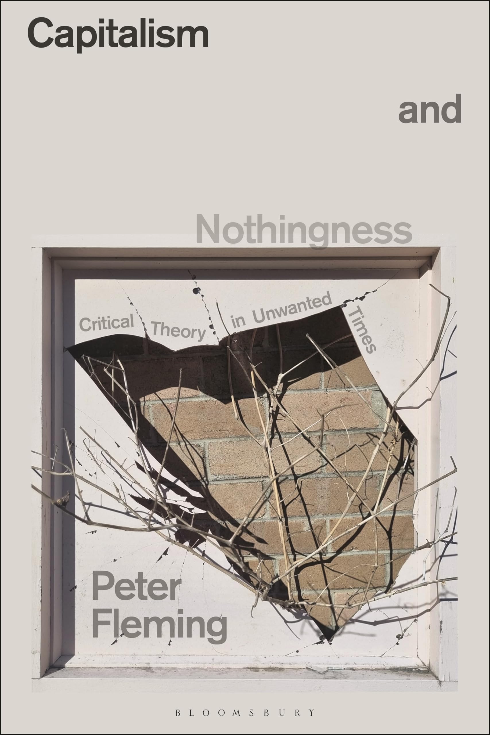 Peter Fleming Capitalism And Nothingness, Critical Theory In Unwanted Times