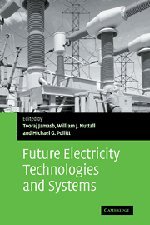 Future Electricity Technologies and Systems (Department of Applied Economics Occasional Papers, Band 67)