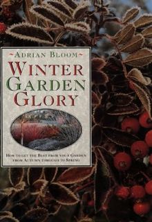 Winter Garden Glory: How to Get the Best from Your Garden from Autumn Through to Spring