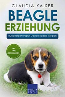 Beagle Erziehung: Hundeerziehung für Deinen Beagle Welpen