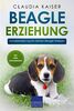 Beagle Erziehung: Hundeerziehung für Deinen Beagle Welpen
