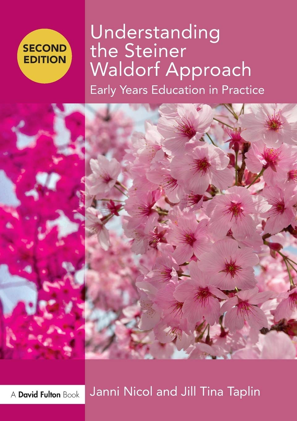 Understanding the Steiner Waldorf Approach: Early Years Education in Practice (Understanding The… Approach)