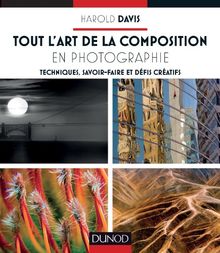 Tout l'art de la composition : techniques, savoir-faire et défis artistiques