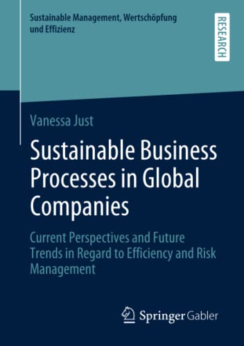 Sustainable Business Processes in Global Companies: Current Perspectives and Future Trends in Regard to Efficiency and Risk Management (Sustainable Management, Wertschöpfung und Effizienz)
