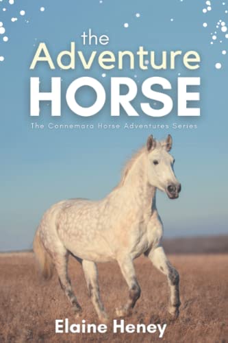 The Adventure Horse - Book 5 in the Connemara Horse Adventure Series for Kids | The Perfect Gift for Children age 8-12 (Connemara Adventures, Band 5)