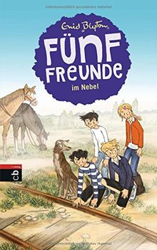 Fünf Freunde im Nebel (Einzelbände, Band 17)