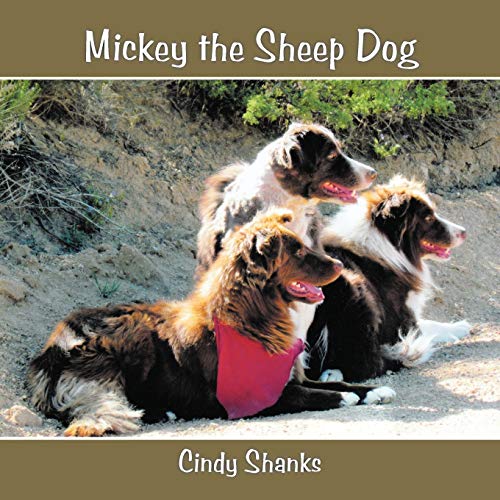 Mickey The Sheep Dog