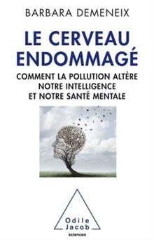 Le cerveau endommagé : comment la pollution altère notre intelligence et notre santé mentale