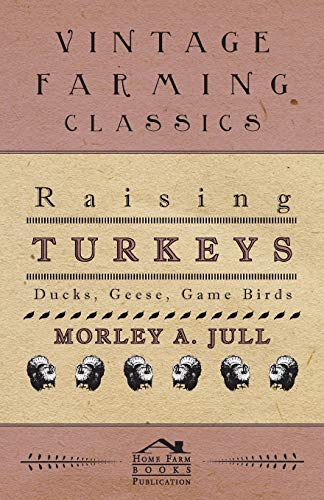 Raising Turkeys - Ducks, Geese, Game Birds