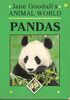 Pandas (Animal World)