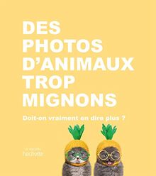 Des photos d'animaux trop mignons : doit-on vraiment en dire plus ?