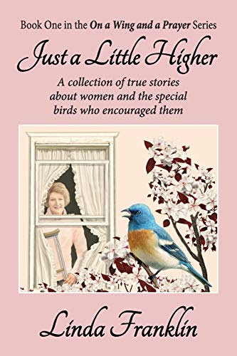 Just a Little Higher: On a Wing and a Prayer Series - Book 1