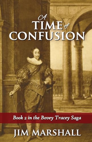 A Time of Confusion (The Tracey Bovey Saga)