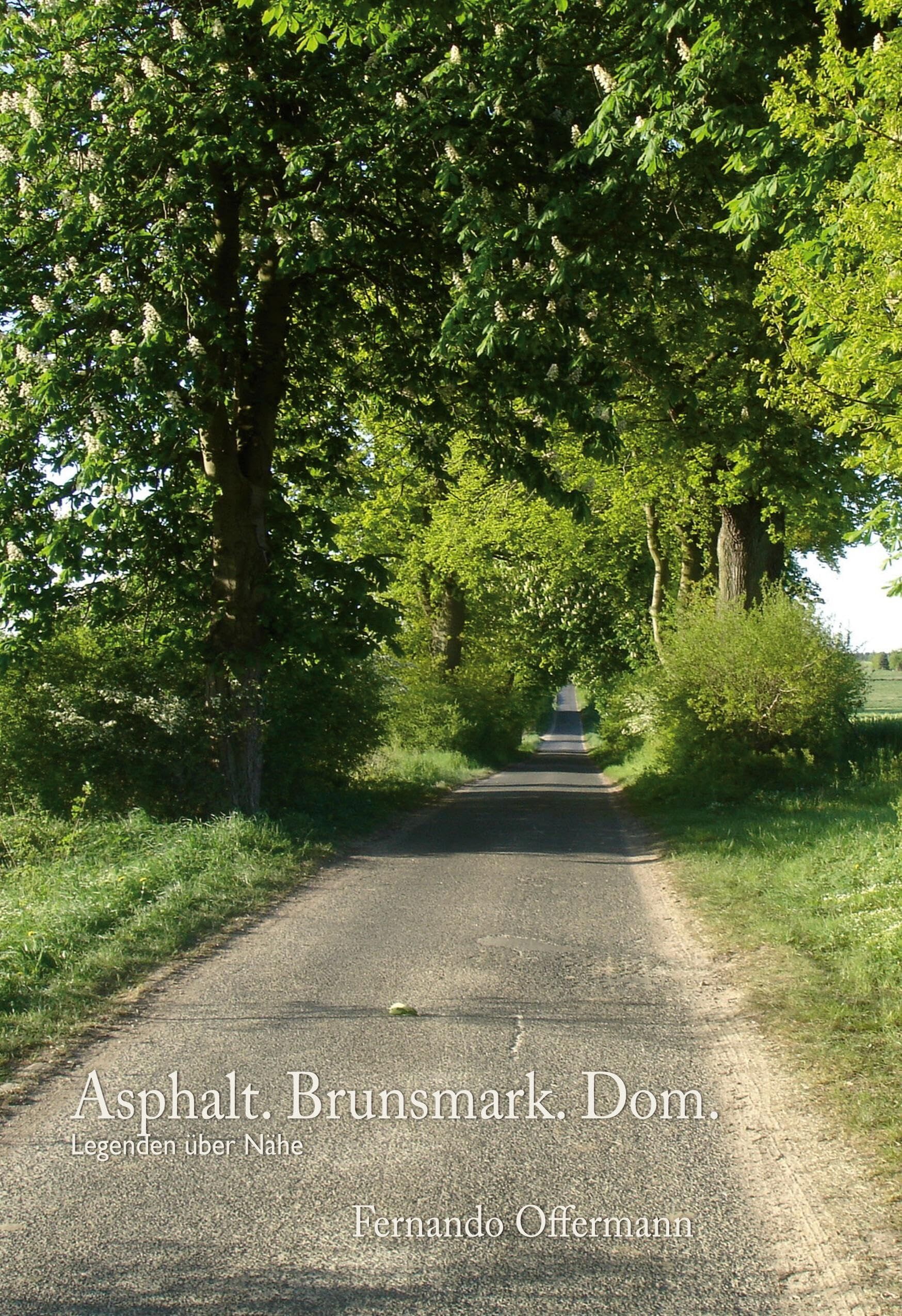 Asphalt. Brunsmark. Dom.
