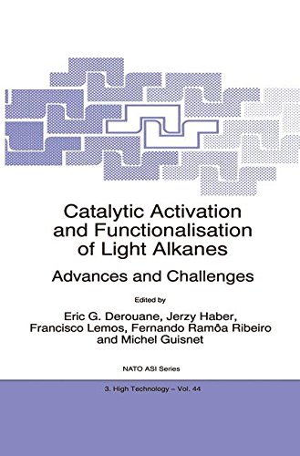 Catalytic Activation and Functionalisation of Light Alkanes: Advances and Challenges (Nato Science Partnership Subseries: 3, Band 44)