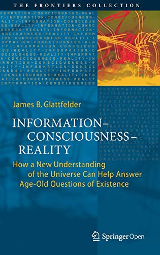 Information―Consciousness―Reality: How a New Understanding of the Universe Can Help Answer Age-Old Questions of Existence (The Frontiers Collection)