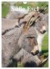 Süße Esel. Langohren zum Verlieben (Wandkalender 2023 DIN A4 hoch), Calvendo Monatskalender