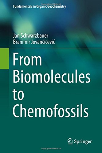 From Biomolecules to Chemofossils (Fundamentals in Organic Geochemistry)