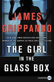 The Girl in the Glass Box: A Jack Swyteck Novel (Jack Swyteck Novel, 15, Band 16)