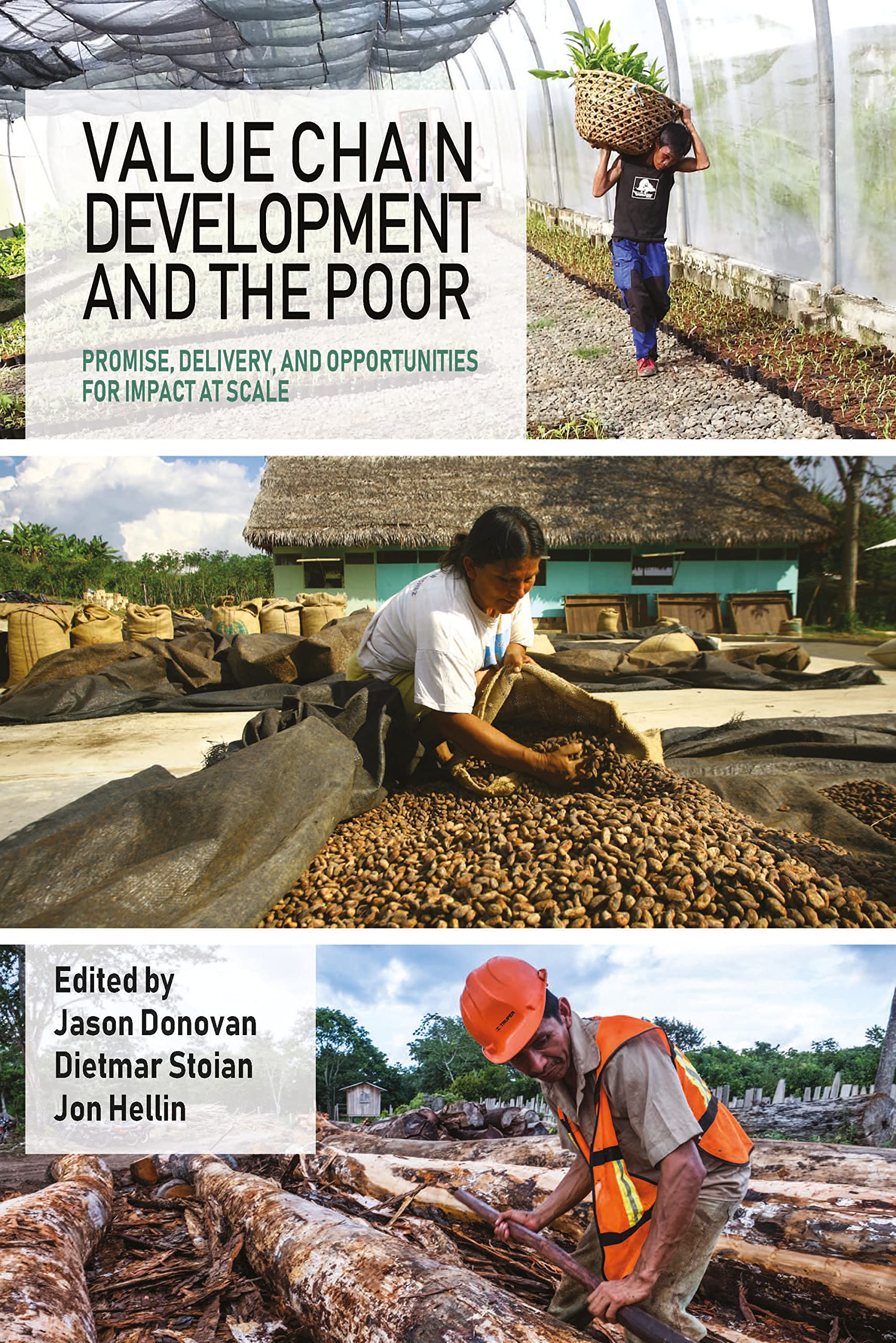 Value Chain Development and the Poor: Promise, delivery, and opportunities for impact at scale (Open Access)