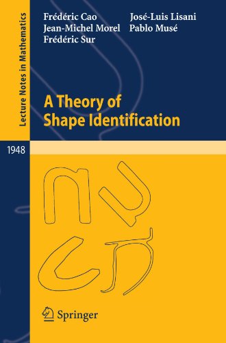 A Theory of Shape Identification (Lecture Notes in Mathematics)