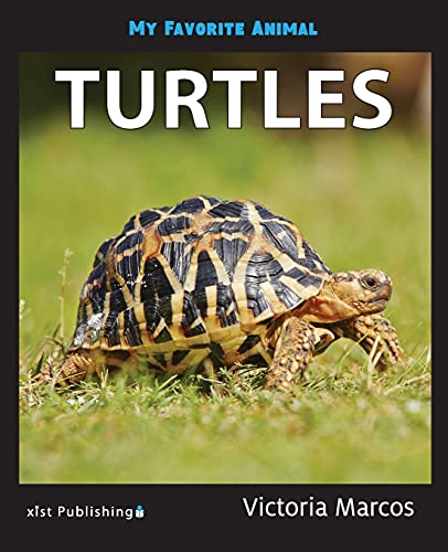 My Favorite Animal: Turtles