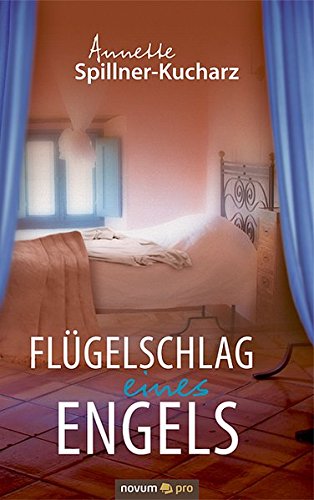 Flügelschlag eines Engels - Annette Spillner-Kucharz Kartoniert (TB)