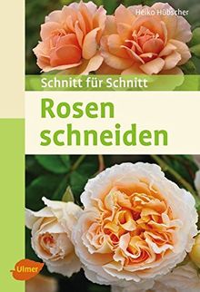 Rosen schneiden: Schnitt für Schnitt