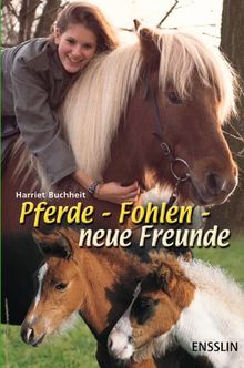 Pferde, Fohlen, neue Freunde