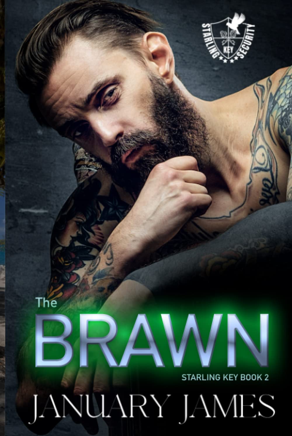 The Brawn: A forbidden romantic suspense (Starling Key, Band 2)