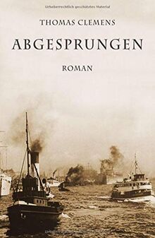 Abgesprungen: Roman