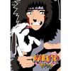 Naruto - Vol. 26, Episoden 110-114