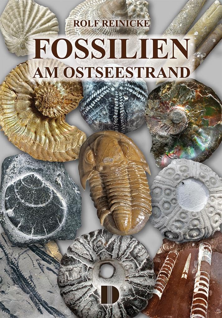 Reinicke Rolf Fossilien am Ostseestrand