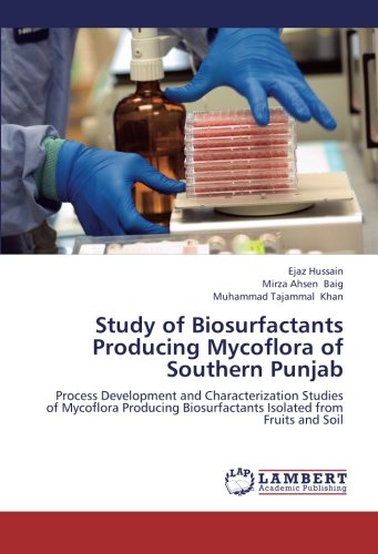 Study of Biosurfactants Producing Mycoflora of Southern Punjab: Process Development and Characterization Studies of Mycoflora Producing Biosurfactants Isolated from Fruits and Soil