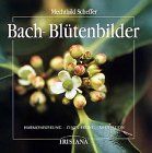 Bach-Blütenbilder, 38 Ktn. m. Beiheft von Scheffer, Mechthild | Buch | Zustand gut