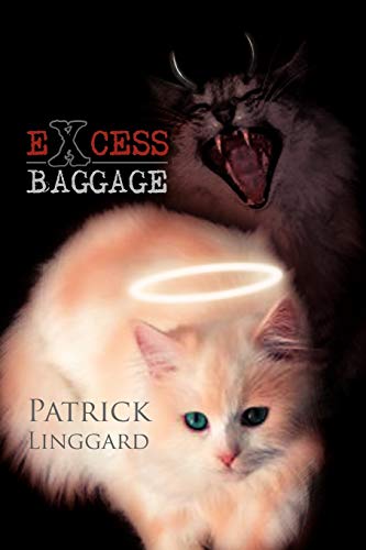 EXCESS BAGGAGE