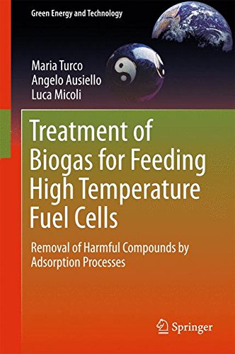 Treatment of Biogas for Feeding High Temperature Fuel Cells: Removal of Harmful Compounds by Adsorption Processes (Green Energy and Technology)