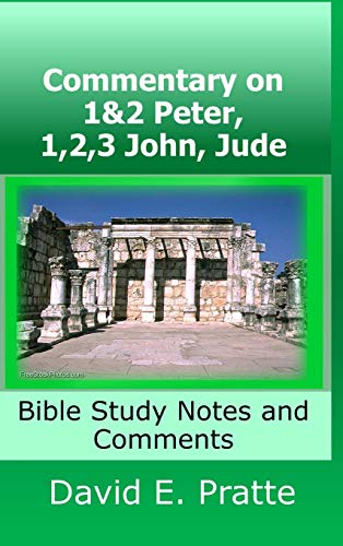 Commentary on 1&2 Peter, 1,2,3 John, Jude: Bible Study Notes and Comments