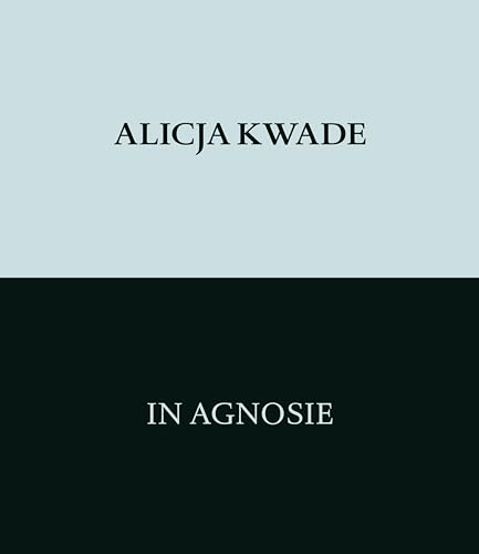 Alicja Kwade In Agnosie