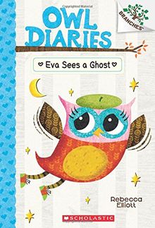 Eva Sees a Ghost (Owl Diaries, Band 2)