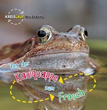 Von der Kaulquappe zum Frosch, Kreislauf des Lebens