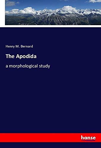 The Apodida: a morphological study
