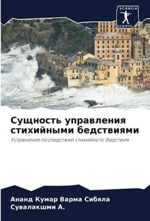 Сущность управления стихийными бедствиями: Устранение последствий стихийного бедствия: Ustranenie posledstwij stihijnogo bedstwiq