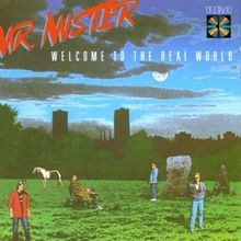Welcome to the Real World von Mr.Mister  | CD | Zustand sehr gut