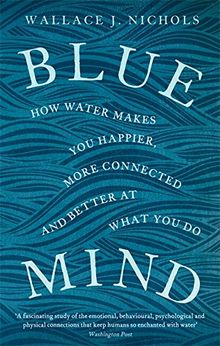 Blue Mind: How Water Makes You Happier, More Connected and Better at What You Do