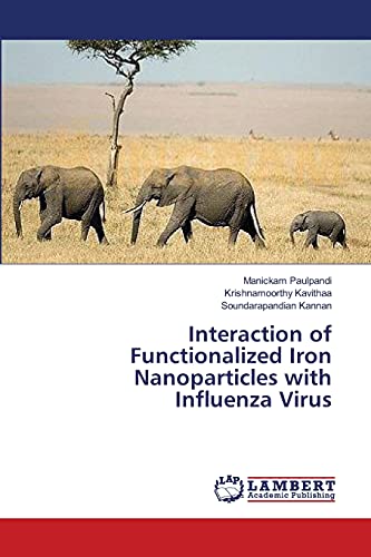 Interaction of Functionalized Iron Nanoparticles with Influenza Virus