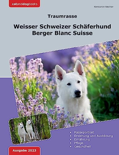 Traumrasse: Weisser Schweizer Schäferhund: Berger Blanc Suisse