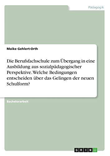 Die Berufsfachschule zum Übergang in eine Ausbildung aus sozialpädagogischer Perspektive. Welche Bedingungen entscheiden über das Gelingen der neuen Schulform?