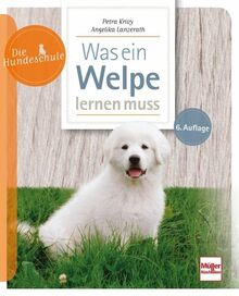 Was ein Welpe lernen muss (Die Hundeschule)